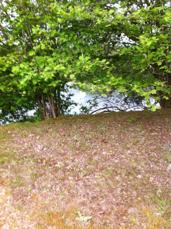 Chambre D'Hotes Dyrslot Saint-Denis-de-Pile Bagian luar foto