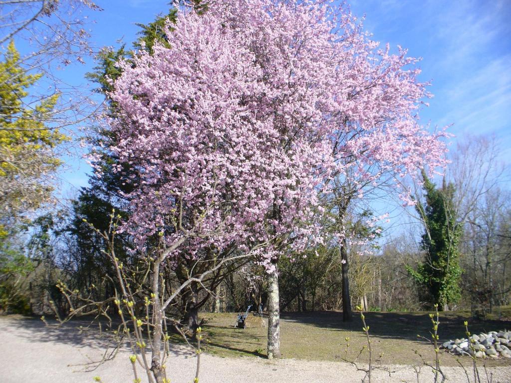 Chambre D'Hotes Dyrslot Bed & Breakfast Saint-Denis-de-Pile Bagian luar foto